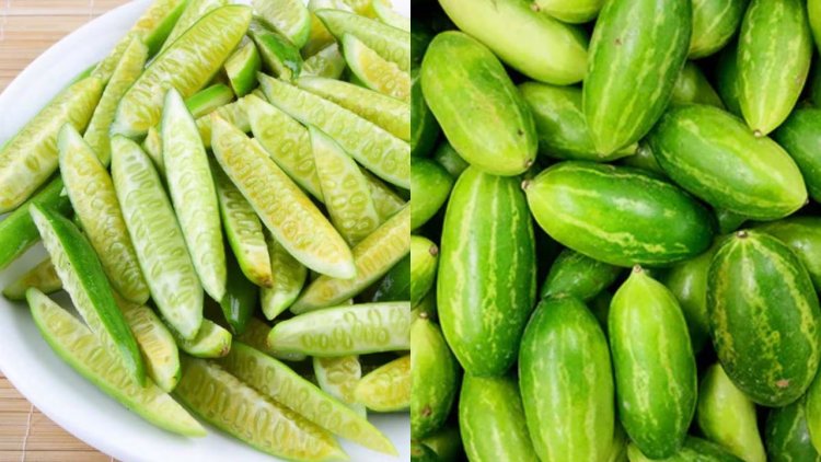 Discover The Top 10 Health Benefits Of Ivy Gourd