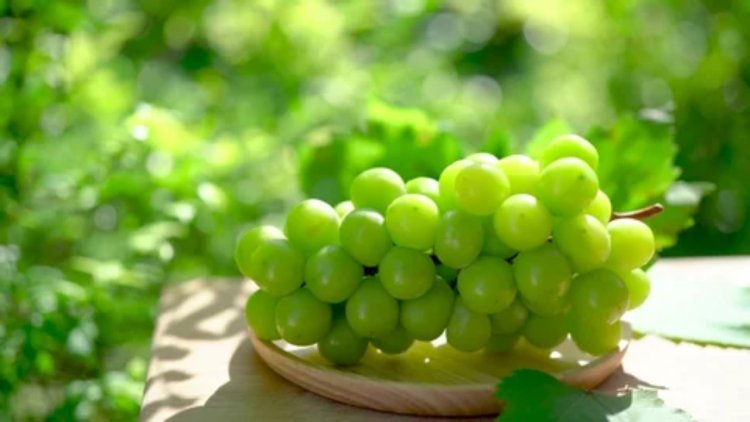 10 Reasons Why Grapes Should Be Your Go-To Fruit For Better Health