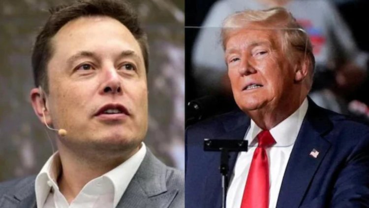 Elon Musk's Response After Trump Says He Would Make Him Adviser